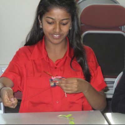 Fabrications IMG_1591